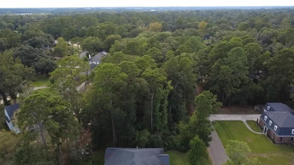 31 Holly Springs Drive Conroe, TX 77302