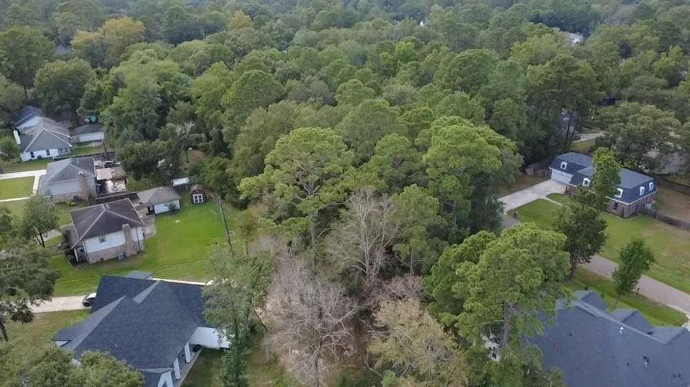 31 Holly Springs Drive Conroe, TX 77302
