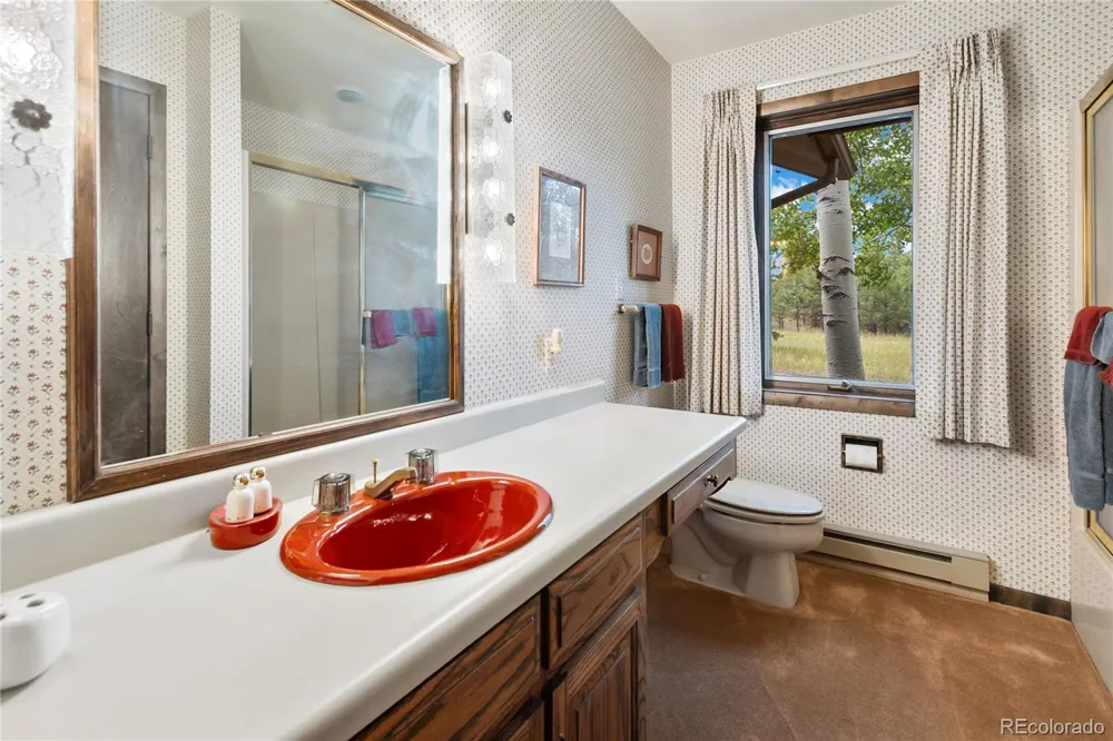 580 Mills Ranch Road Woodland Park, CO 80863