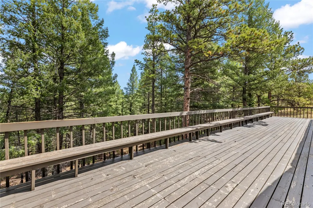 580 Mills Ranch Road Woodland Park, CO 80863