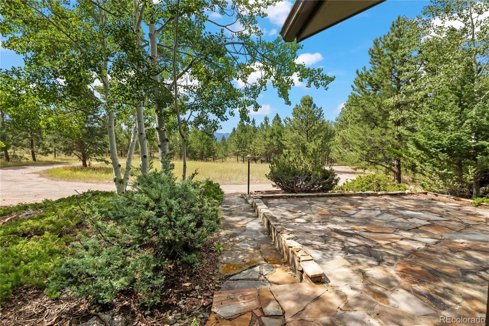 580 Mills Ranch Road Woodland Park, CO 80863