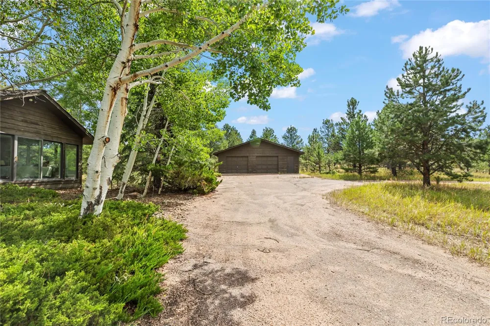 580 Mills Ranch Road Woodland Park, CO 80863