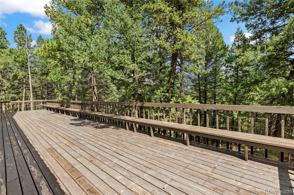 580 Mills Ranch Road Woodland Park, CO 80863