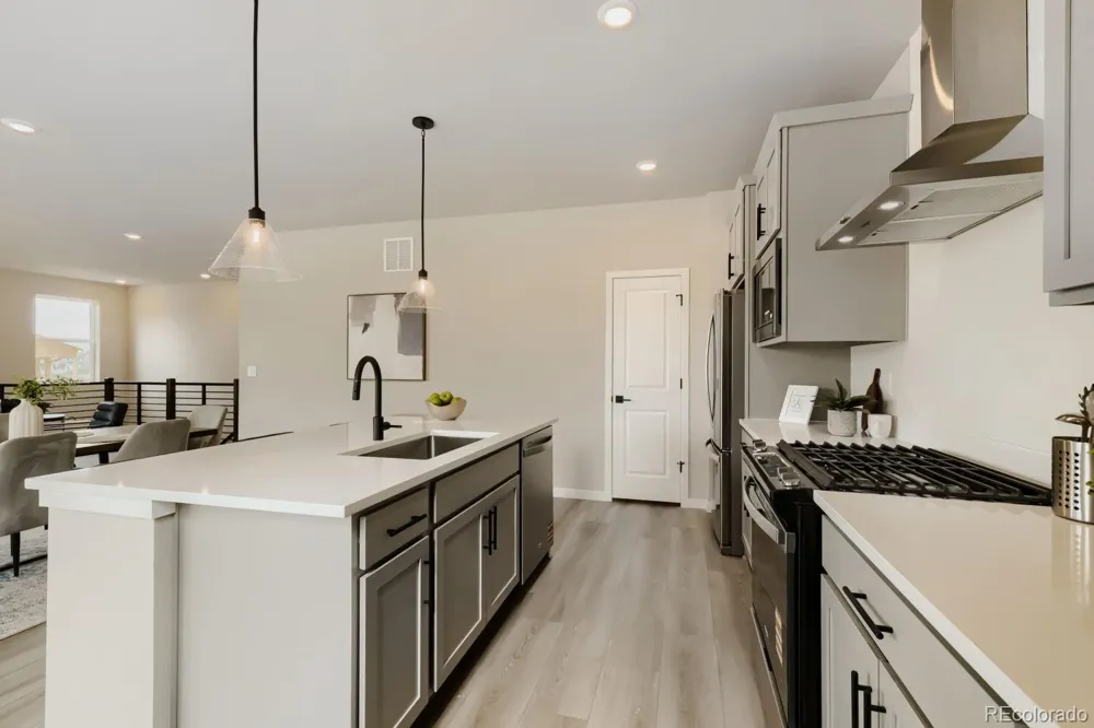 13409 Finnhorse Street Parker, CO 80134