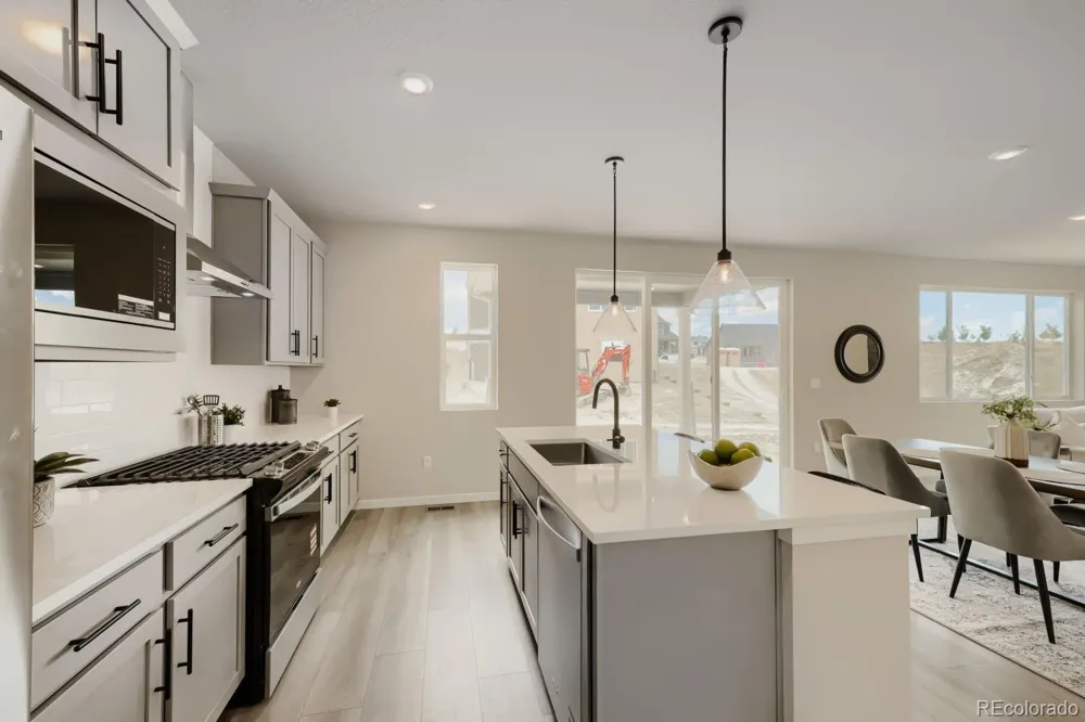 13409 Finnhorse Street Parker, CO 80134