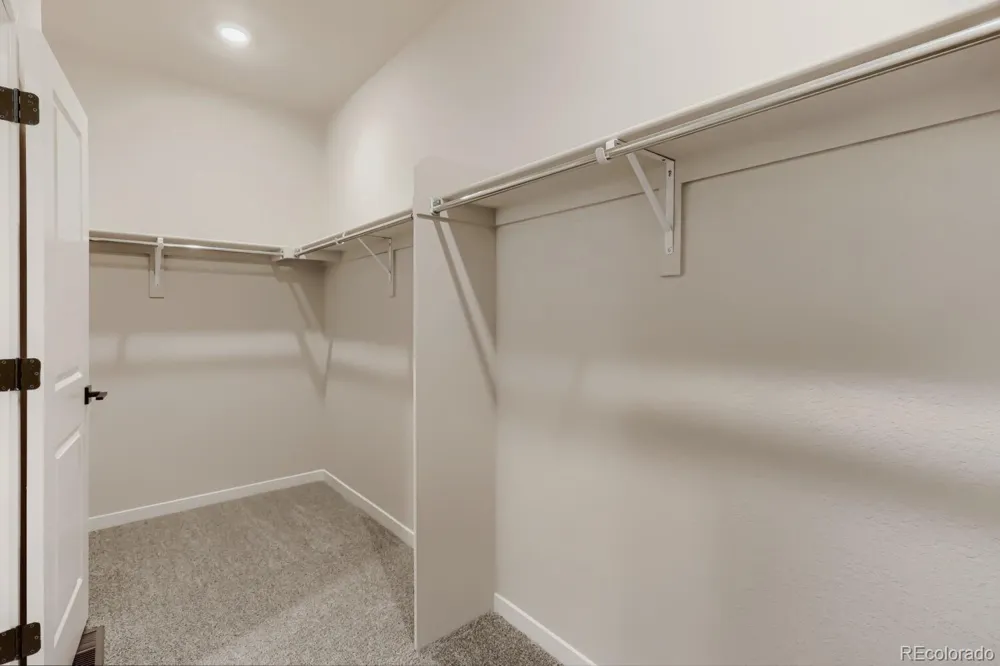 13409 Finnhorse Street Parker, CO 80134