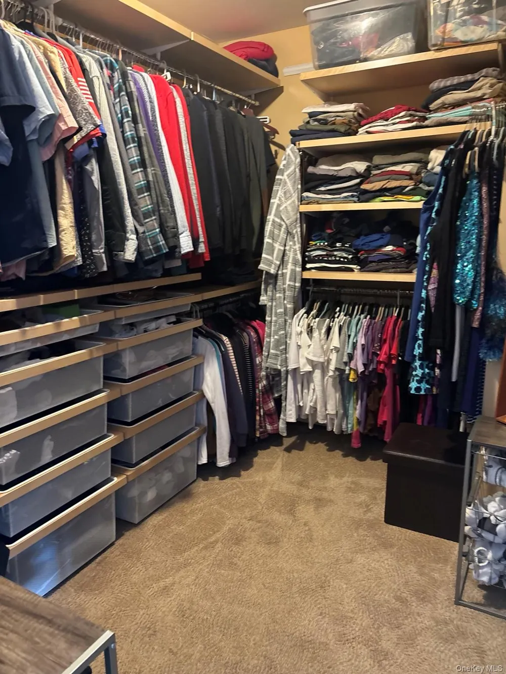 272 Tamerisk Lane New Windsor, NY 12553