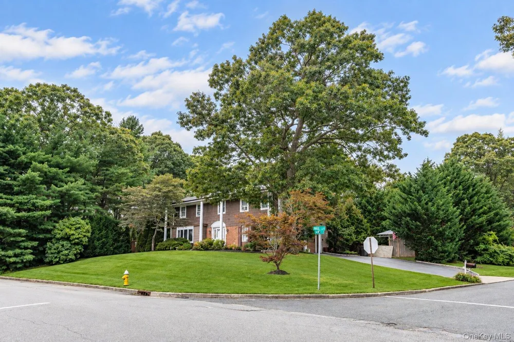 138 Main Avenue Lake Grove, NY 11755