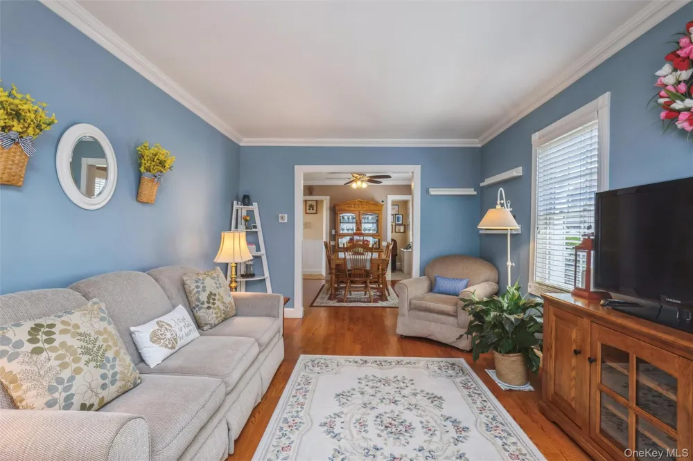 99 Barwick Street Floral Park, NY 11001