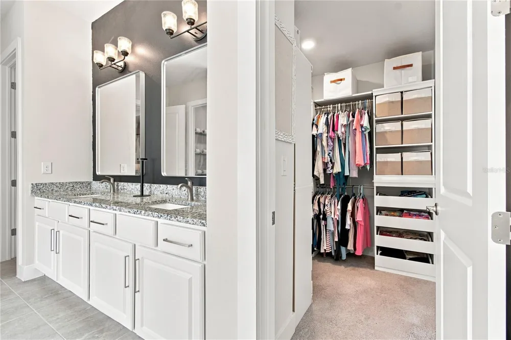 8699 IVY STARK BOULEVARD Wesley Chapel, FL 33545