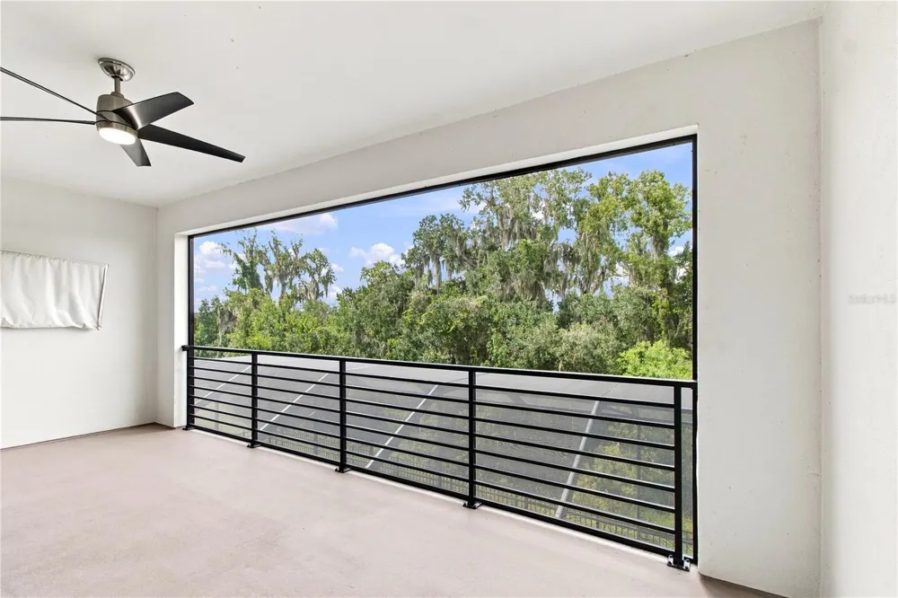 8699 IVY STARK BOULEVARD Wesley Chapel, FL 33545