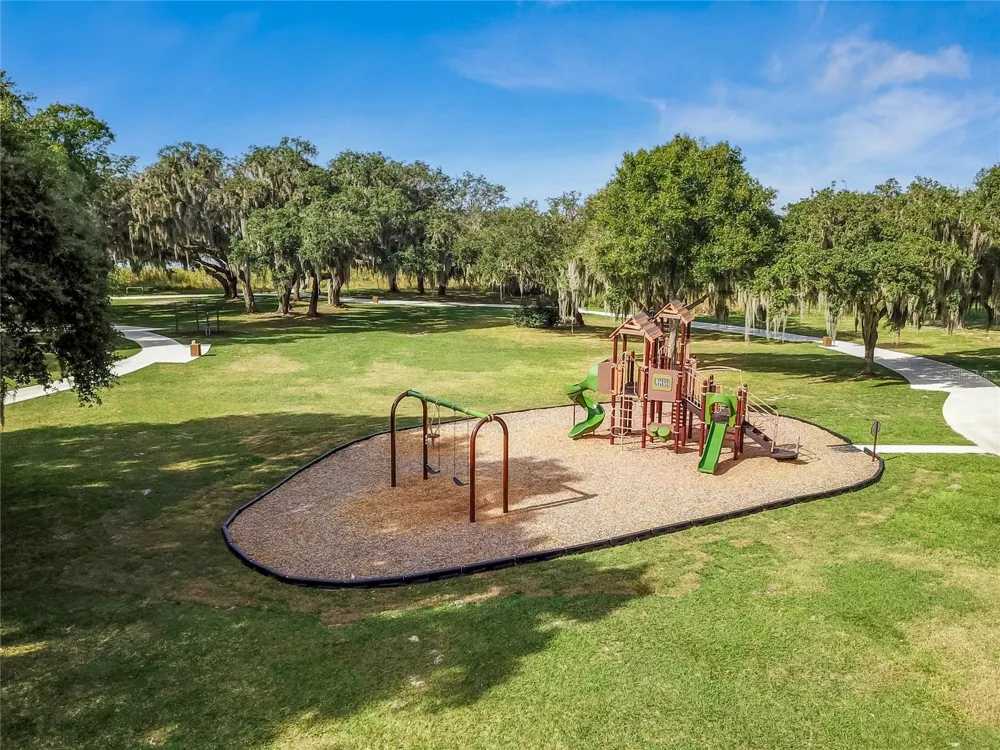 8699 IVY STARK BOULEVARD Wesley Chapel, FL 33545