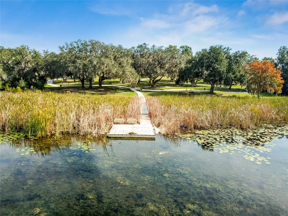 8699 IVY STARK BOULEVARD Wesley Chapel, FL 33545