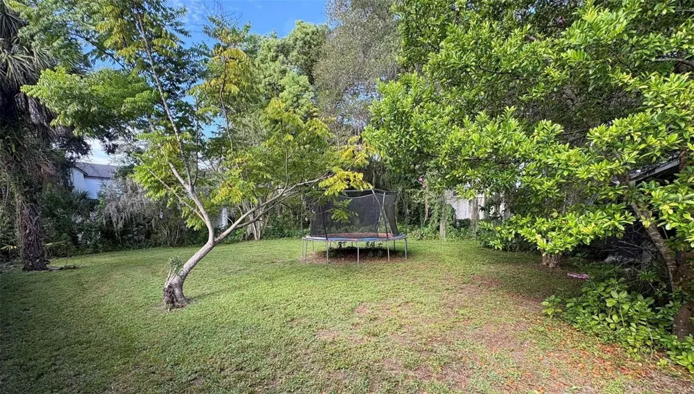 1212 DELANEY PARK DRIVE Orlando, FL 32806