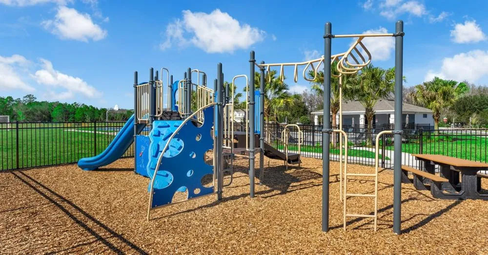 209 CUBAN ROYAL PALM WAY Davenport, FL 33897