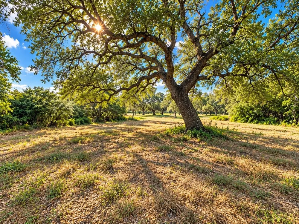 6122 Sand Rock Road Rutersville, TX 78945