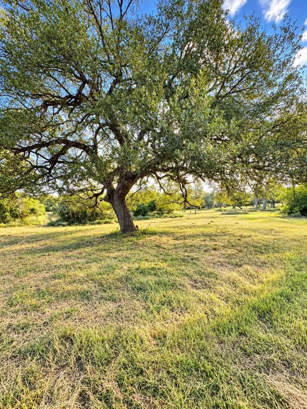 6122 Sand Rock Road Rutersville, TX 78945