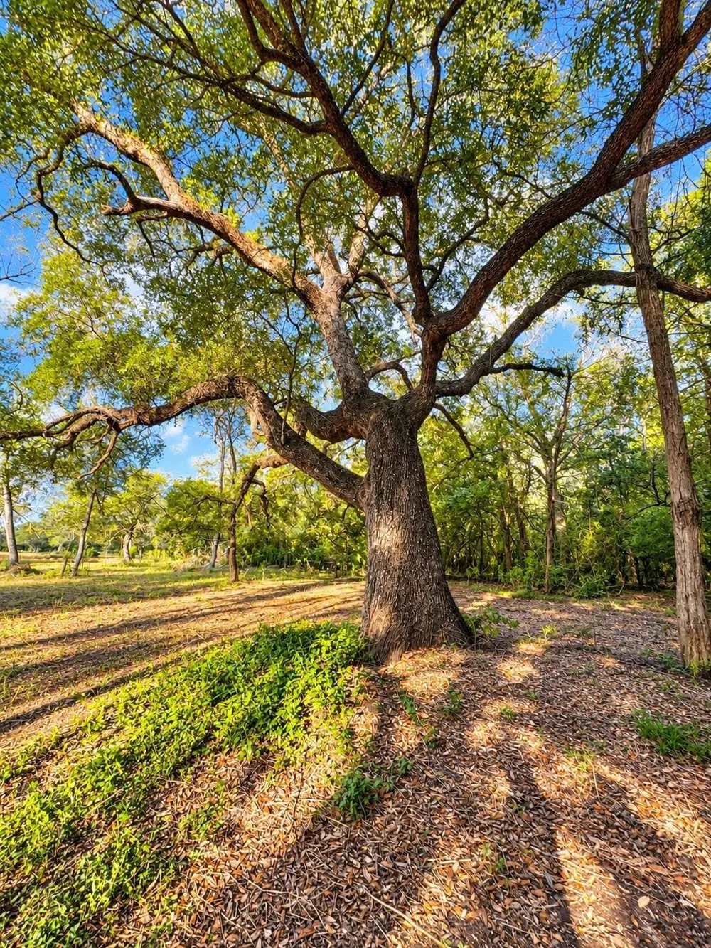 6122 Sand Rock Road Rutersville, TX 78945