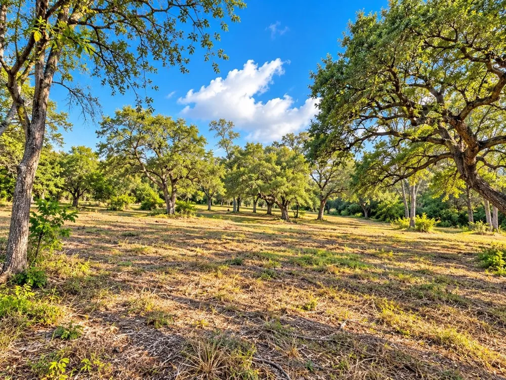 6122 Sand Rock Road Rutersville, TX 78945