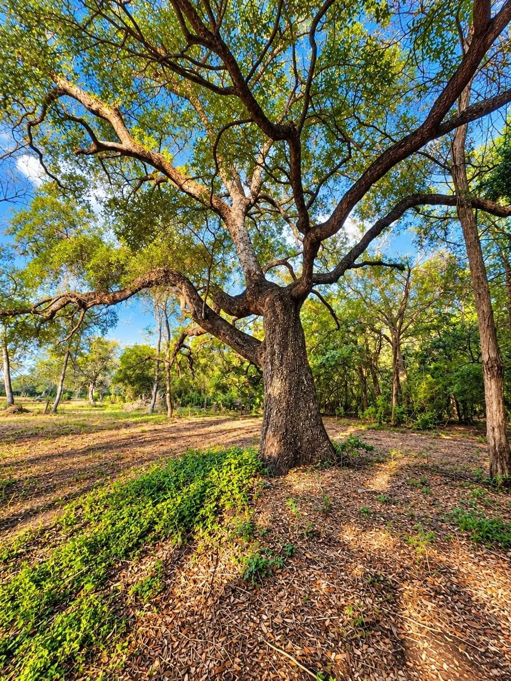 6122 Sand Rock Road Rutersville, TX 78945