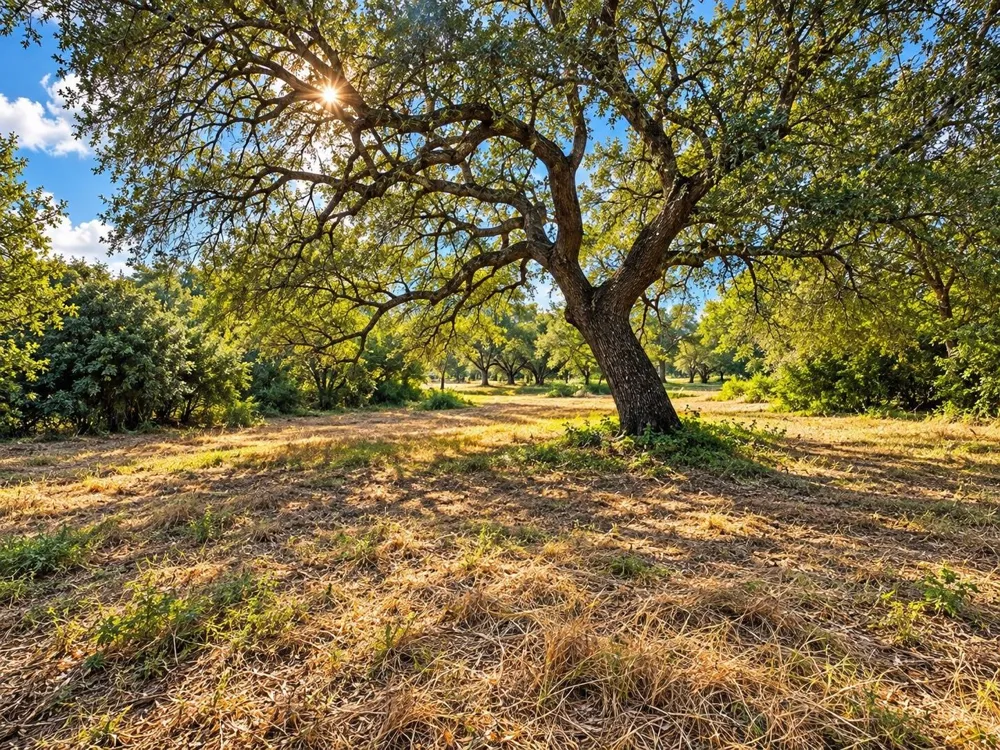 6122 Sand Rock Road Rutersville, TX 78945