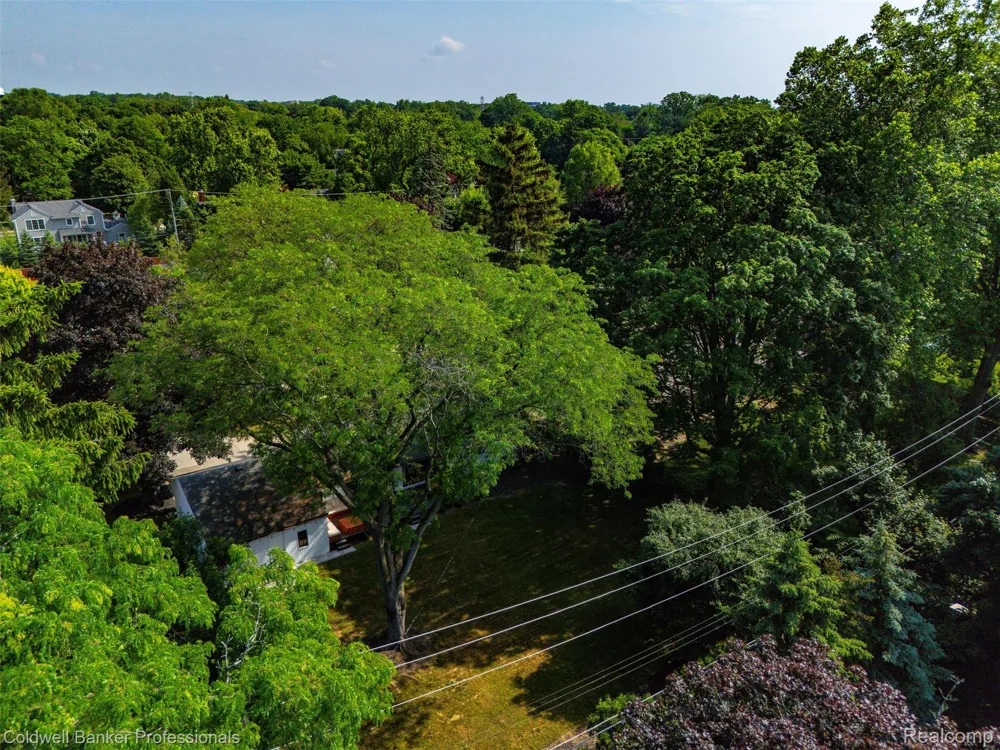 1528 E Maple Road Birmingham City, MI 48009
