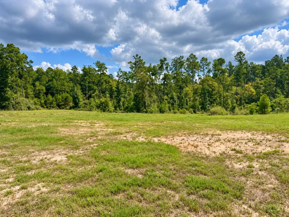 292 Bill Stickley Road Zavalla, TX 75980