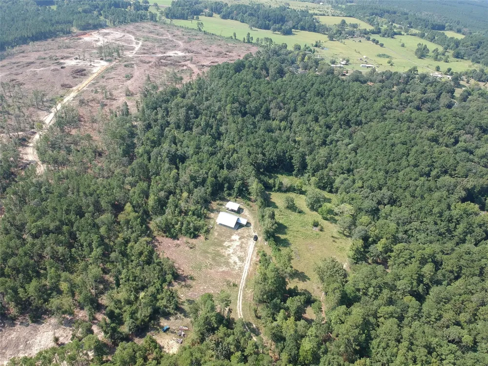 292 Bill Stickley Road Zavalla, TX 75980