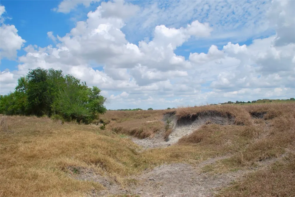4 County Road 366 Shiner, TX 77984