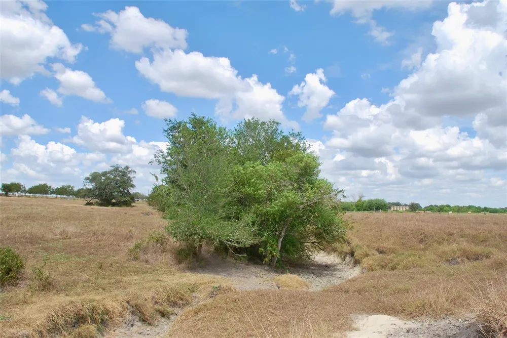 4 County Road 366 Shiner, TX 77984
