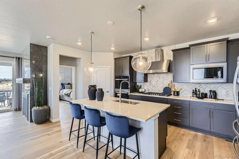 13394 Finnhorse Circle Parker, CO 80134