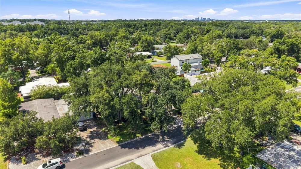 809 E RIVER DRIVE Temple Terrace, FL 33617