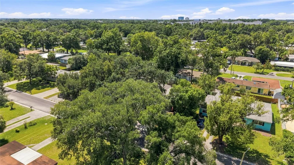 809 E RIVER DRIVE Temple Terrace, FL 33617