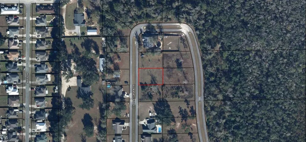 CHARLIE GASKIN DRIVE Wewahitchka, FL 32465