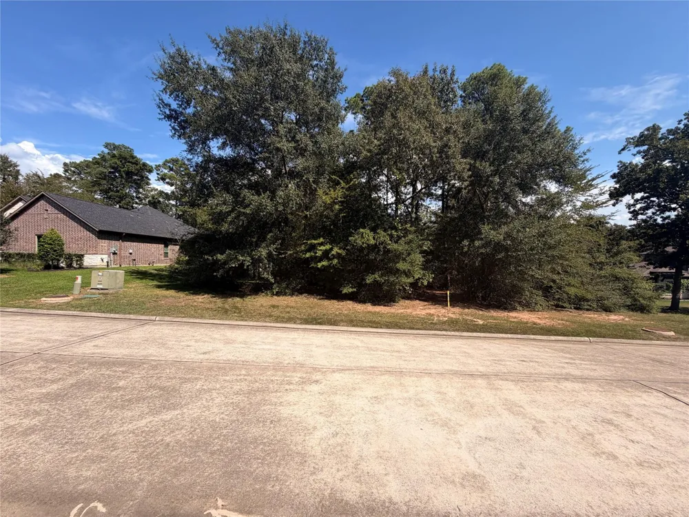 313 Pine Brook Drive Montgomery, TX 77356
