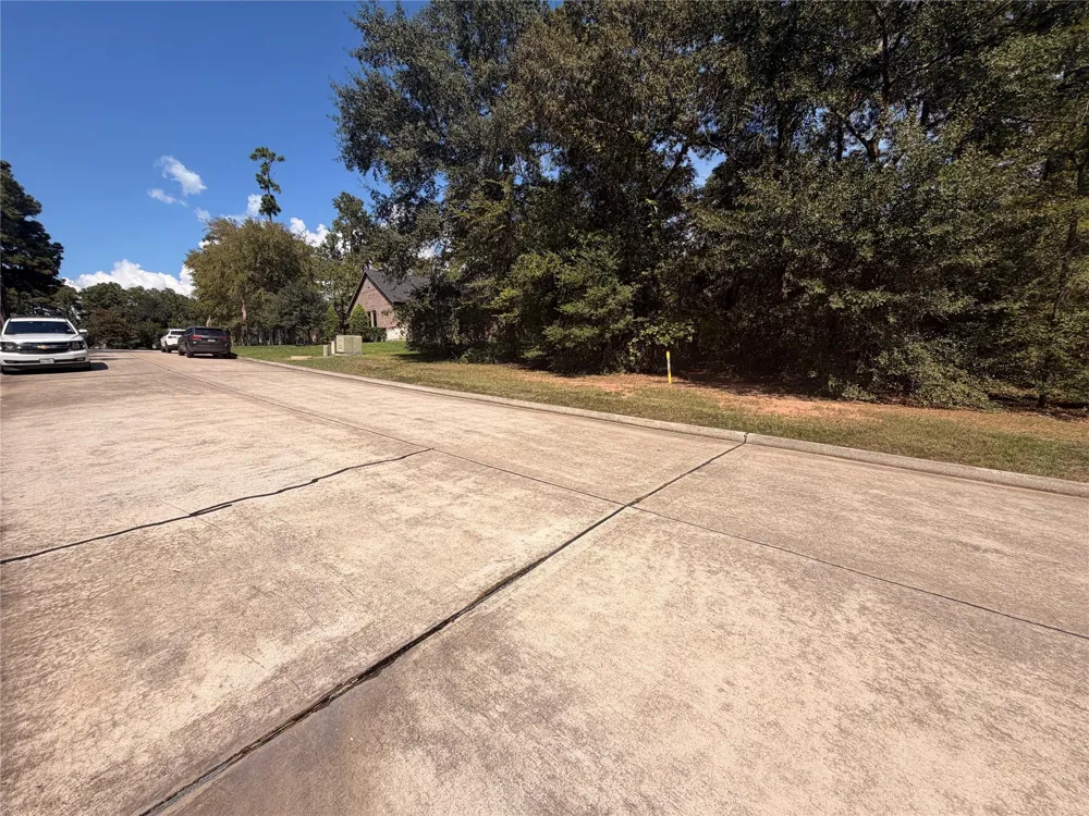 313 Pine Brook Drive Montgomery, TX 77356