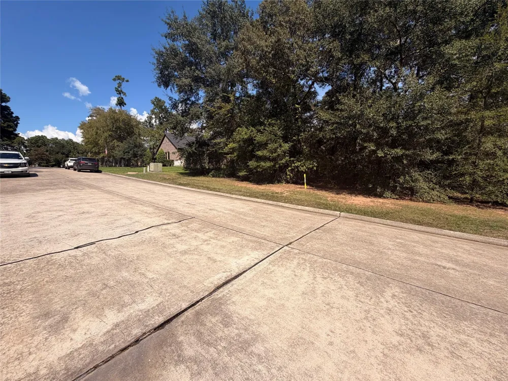 313 Pine Brook Drive Montgomery, TX 77356