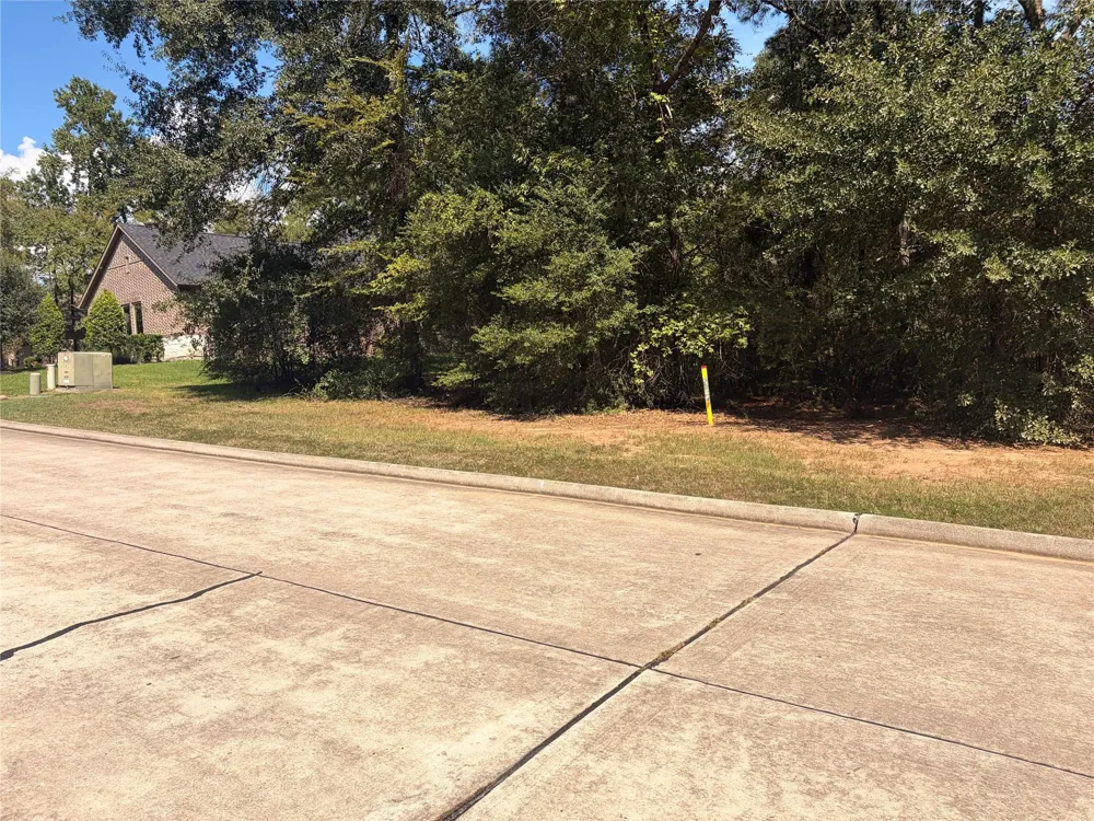 313 Pine Brook Drive Montgomery, TX 77356