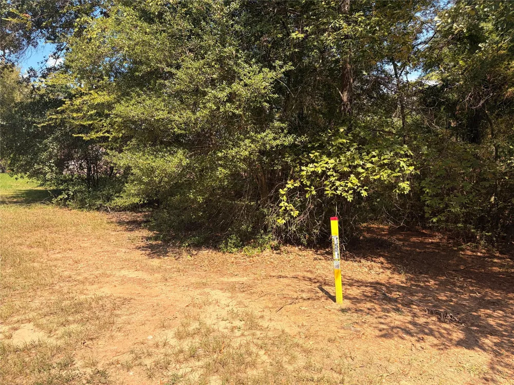 313 Pine Brook Drive Montgomery, TX 77356