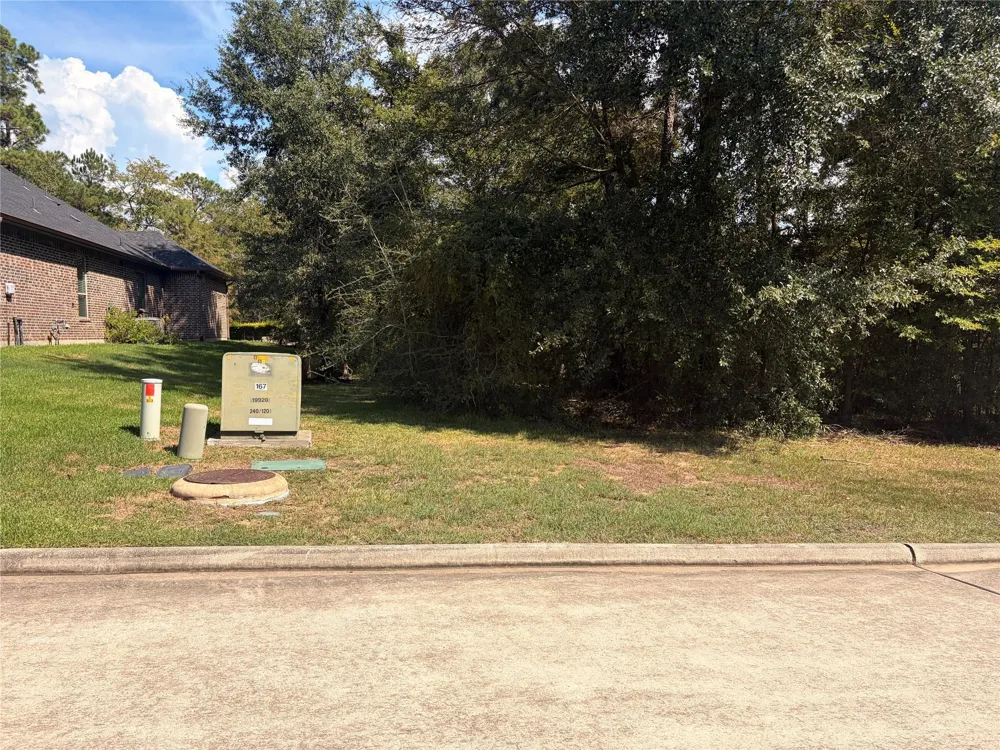 313 Pine Brook Drive Montgomery, TX 77356