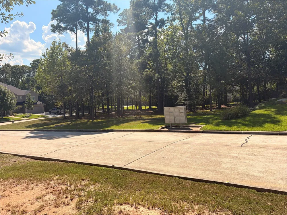 313 Pine Brook Drive Montgomery, TX 77356
