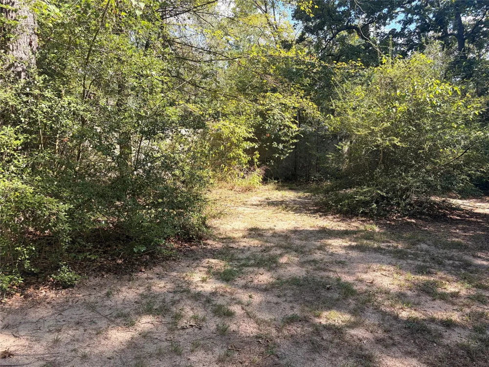 313 Pine Brook Drive Montgomery, TX 77356