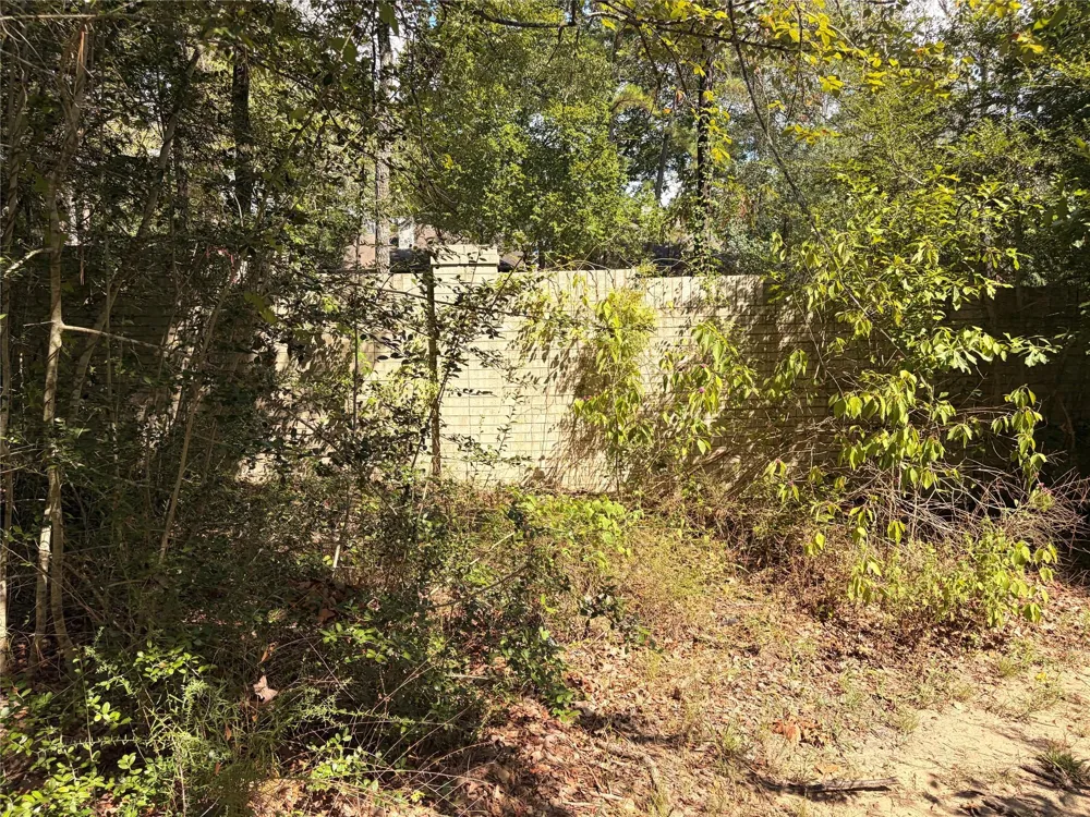 313 Pine Brook Drive Montgomery, TX 77356