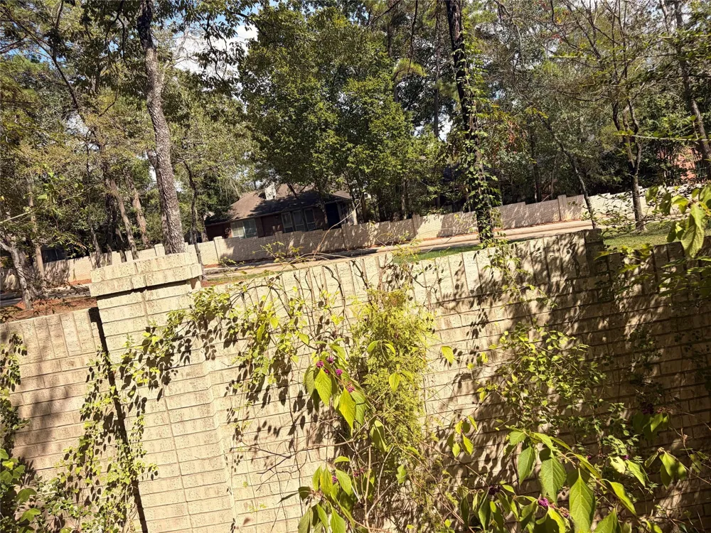 313 Pine Brook Drive Montgomery, TX 77356
