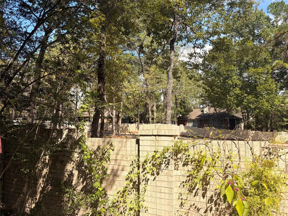 313 Pine Brook Drive Montgomery, TX 77356