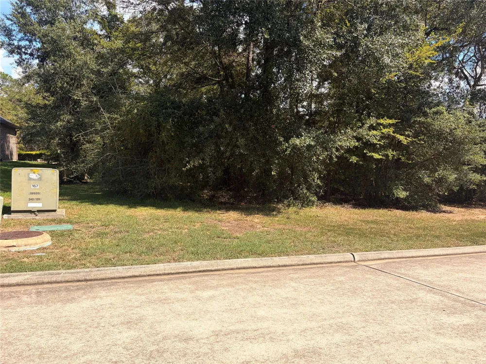 313 Pine Brook Drive Montgomery, TX 77356