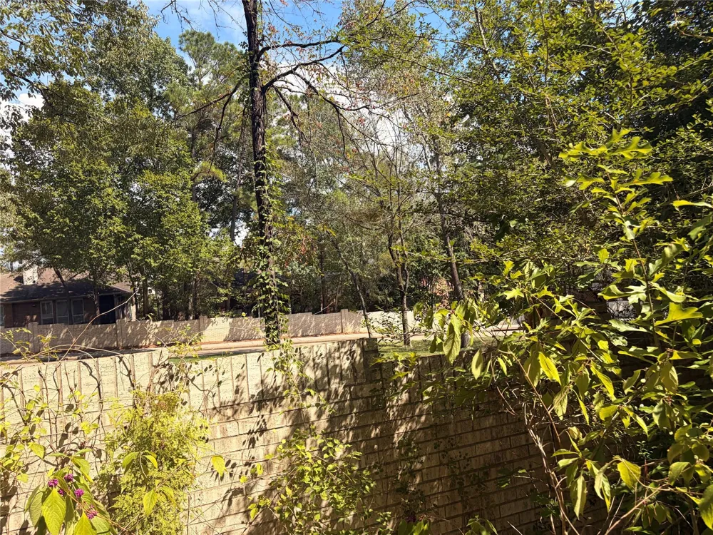 313 Pine Brook Drive Montgomery, TX 77356