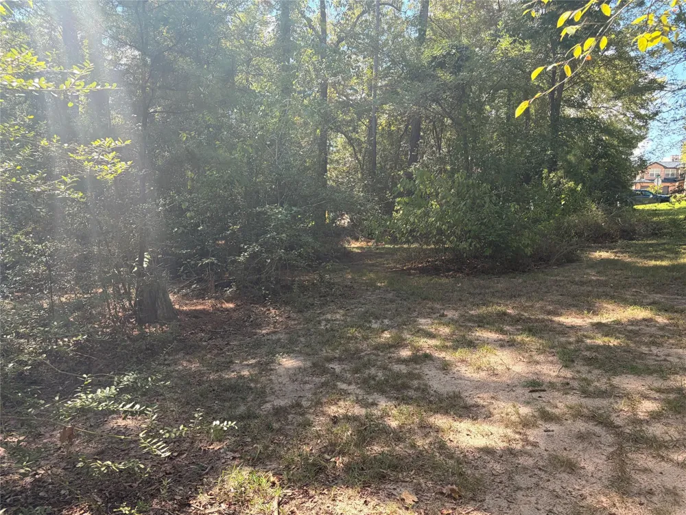 313 Pine Brook Drive Montgomery, TX 77356