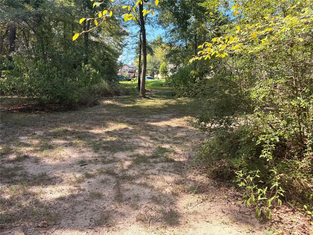 313 Pine Brook Drive Montgomery, TX 77356