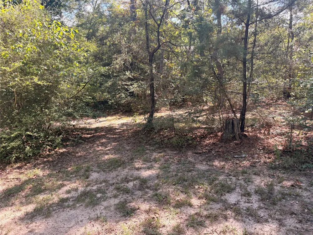 313 Pine Brook Drive Montgomery, TX 77356